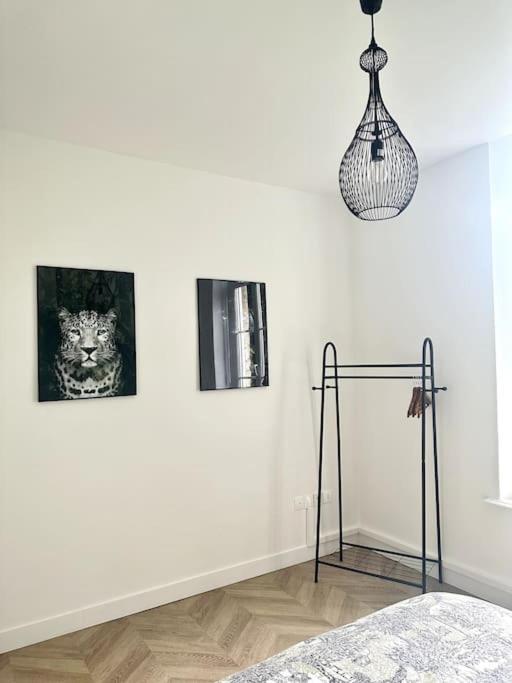 L'Amazonia : Face A La Basilique Parking Gratuit Appartement Boulogne-sur-Mer Buitenkant foto